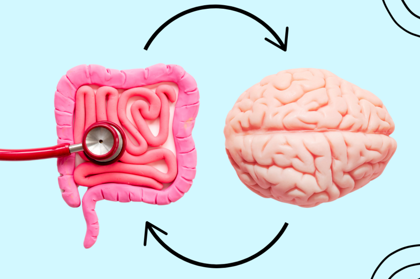 The Gut-Brain Axis, Fueling Mental Well-being Through Digestive Health