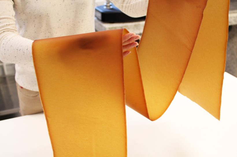 Mycelium Leather: The Fungal Future of Sustainable Fashion
